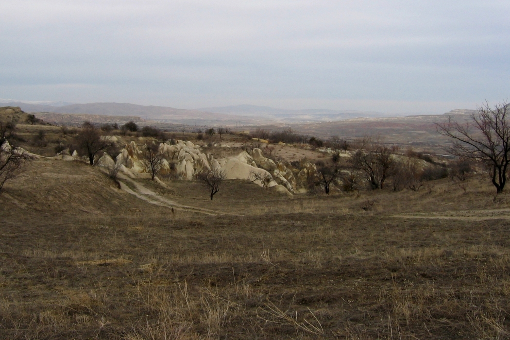 20050216-4130