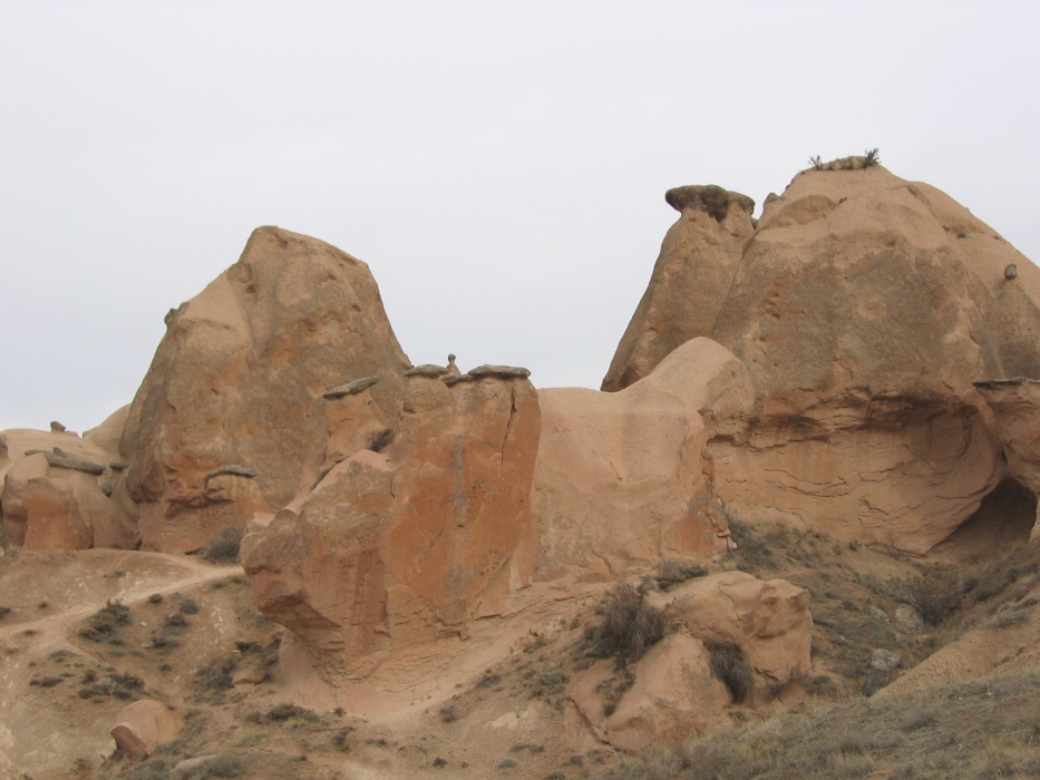 20050216-5060