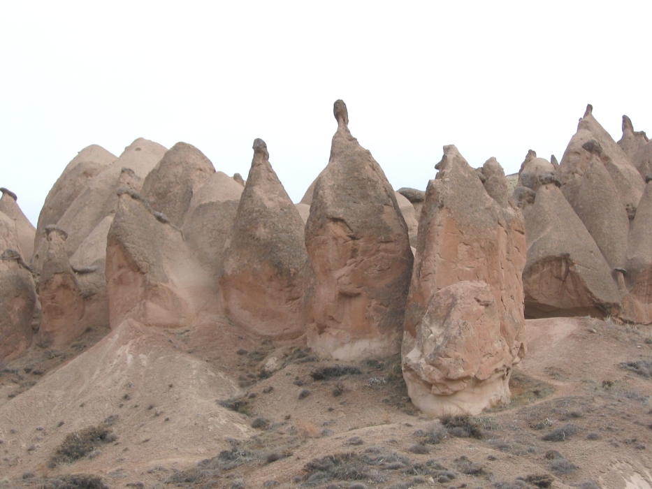 20050216-5080