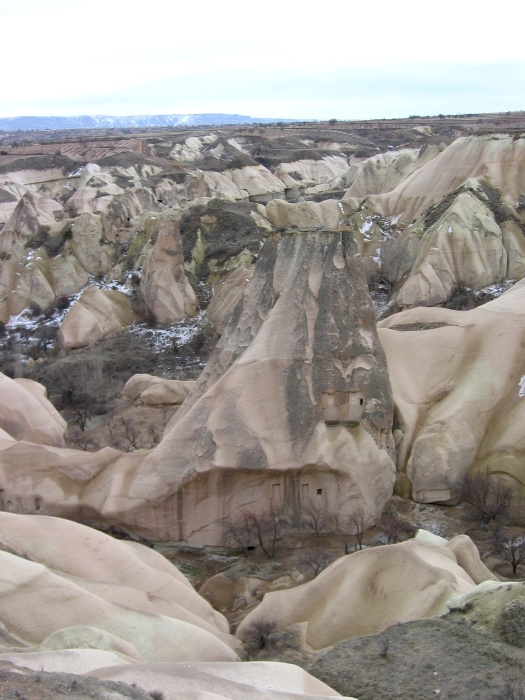 20050216-6060