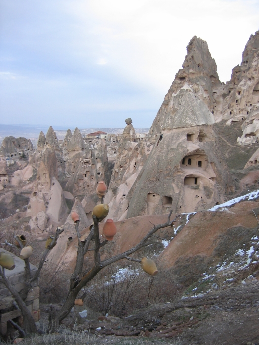 20050216-8040