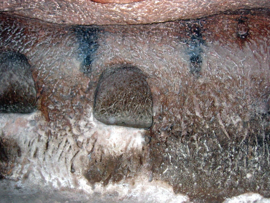 20050217-6010