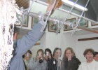 20050217-5050 -