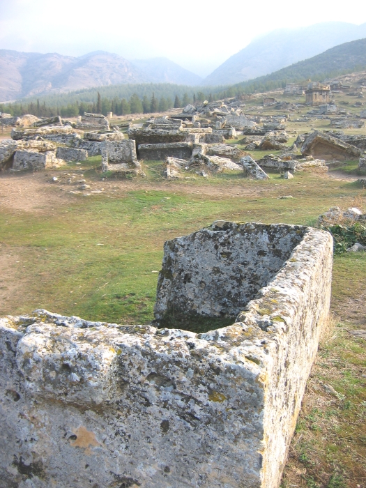 20050219-4020