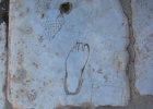20050220-3230 -