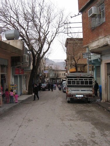 20060109-2015pa.JPG