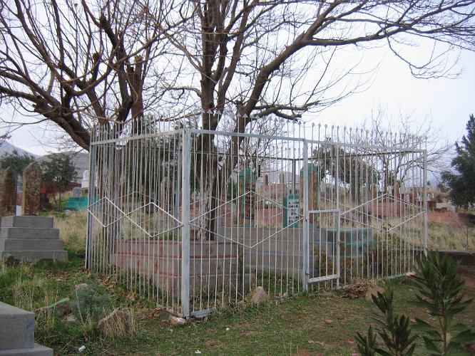 20060109-2038pa.JPG