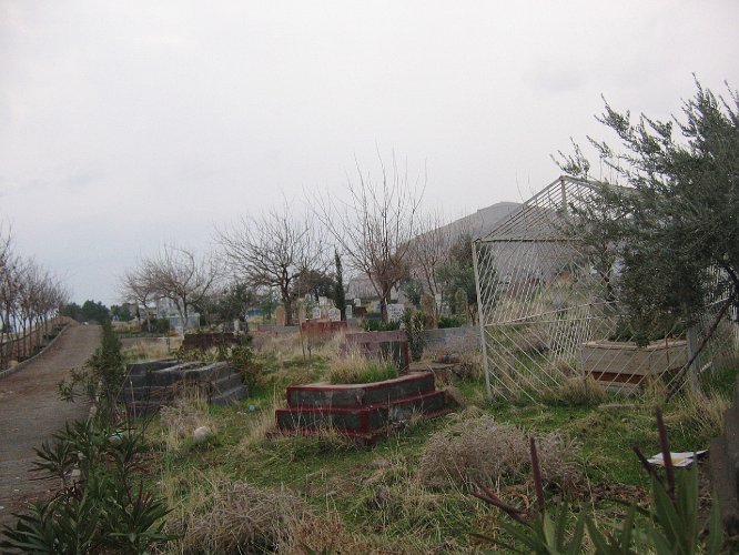 20060109-2040pa.JPG