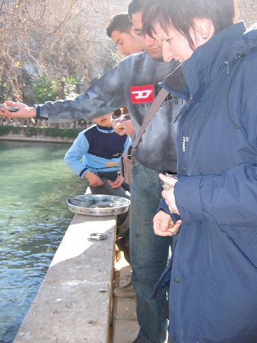 20060109-7111pa.JPG